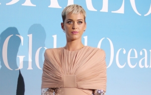 Fokus Berbisnis, Katy Perry Ingin Hiatus dari Dunia Musik
