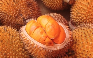 Buah Lai Sejenis Durian Tanpa Aroma