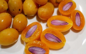 Gandaria Miliki Banyak Manfaat