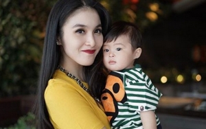 Sandra Dewi Ngaku Bayinya Raphael Banjir Job, Nggak Nyangka Bayarannya Segini!