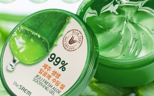 The Saem Jeju Fresh Aloe Soothing Gel dengan Lidah Buaya Jeju