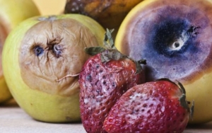 Pisahkan Buah yang Busuk dengan yang Lain Terlebih Dahulu