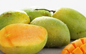 Simpan Mangga Di Kulkas Agar Tidak Cepat Matang