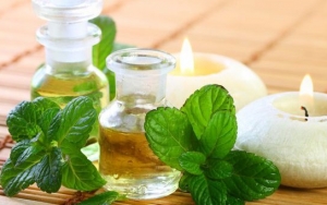 Aroma Peppermint Cocok untuk Meningkatkan Konsentrasi