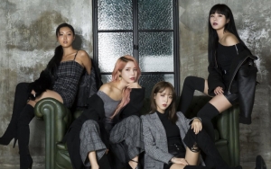 Fans Buat Pernyataan Minta Agensi Tunda Konser Mamamoo, Ini Alasannya