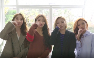 Diprotes Fans, Agensi Putuskan Tunda Konser Mamamoo Sesuai Hasil Voting