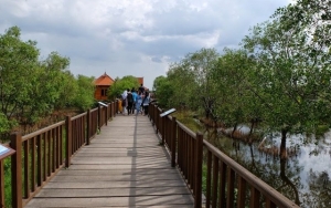 Taman Wisata Hutan Mangrove Wonorejo
