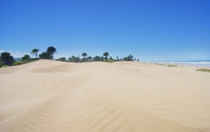Padang Pasir Oetune di NTT Bagai Gurun Sahara Mini