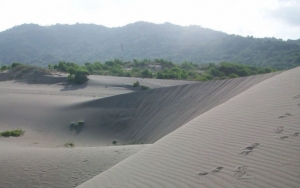 Gumuk Pasir Parangkusumo di Yogyakarta