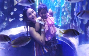 Ikuti Jejak Ussy Sulistiawaty, Fans Minta Ayu Ting Ting Juga Laporkan Penghina Anaknya