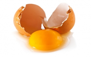 Telur Kaya akan Kalsium