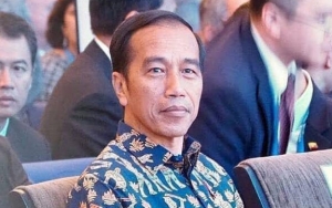 Rajin Sambangi Papua, Aktivis Muda Nilai Jokowi Presiden yang Perhatian