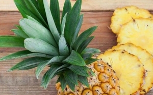 Bagian Tengah Nanas Mengandung Zat Anti Inflamasi
