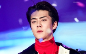 Kini Sudah Besar, Pertumbuhan Anjing Kesayangan Sehun Jadi Perbincangan Netter