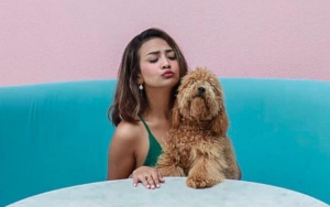 Muncikari Jadi Tersangka, Vanessa Angel Wajib Ikut Jalani Pemeriksaan Meski Berstatus Saksi