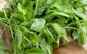 Bayam Kaya akan Vitamin A