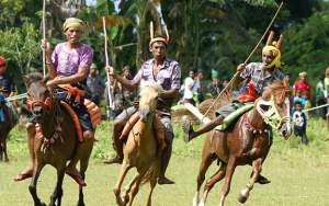 Festival Pasola, Upacara Tradisional Orang Sumba yang Menarik 