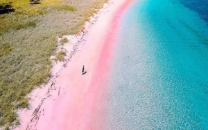 Menyusuri Pink Beach di Lombok