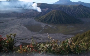 Wisatawan Akui Lebih Antusias Lihat Pemandangan Gunung Bromo Saat Erupsi, Seperti Apa?