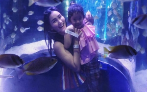 Ayu Ting Ting Ingin Pengasuh Baru Bilqis Bisa Bahasa Inggris, Ini Sebabnya