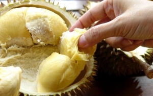 Makan Durian dengan Porsi yang Wajar
