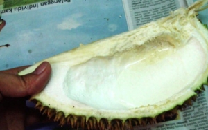 Minum Air Putih yang Dituang di Kulit Durian