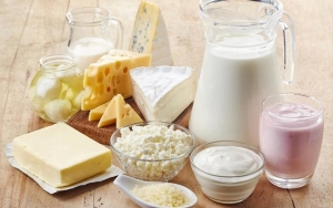 Makanan dari Produk Susu