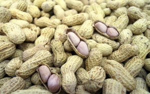 Jerawat dapat Disebabkan Karena Kacang