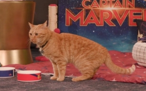 Goose Jadi Pendongkrak Rating 'Captain Marvel'