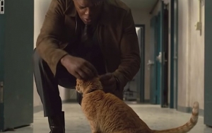 Goose Adalah Penyebab Nick Fury Kehilangan Matanya