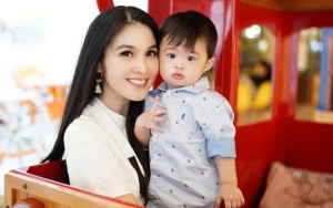 Raphael Putra Sandra Dewi Punya Jet Pribadi, Netter Langsung Geger