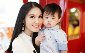 Putra Sandra Dewi Sudah Punya Jet Pribadi, Syahrini Kena Sindir Gara-Gara Cuma Bisa Sewa