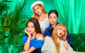 Starbucks Klarifikasi Soal Rumor Ikut Kerja Sama Promosikan Comeback Black Pink