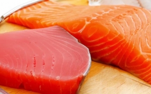 Ikan Seperti Salmon dan Tuna