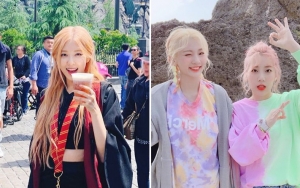  Rose Black Pink Dapat Dukungan Penuh Untuk Kolaborasi Bareng Bolbbalgan4