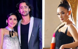 Ayu Ting Ting-Shaheer Sheikh Mesra di Belakang Layar, Zaskia Gotik Kepergok Curcol Pacar Baru