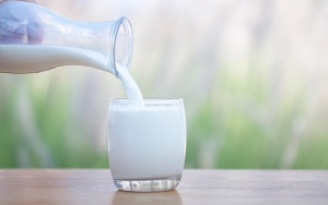 Susu Cair Segar Pengganti Santan