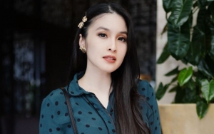 Hamil Cantik, Gaya Sandra Dewi Tidur Malas di Pesawat Mewah Kelas Satu Bak Princess Sejati