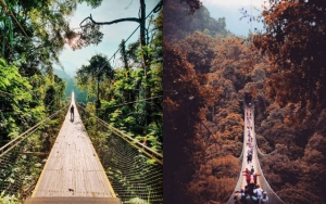 Jembatan Situ Gunung di Sukabumi Terpanjang se-Asia