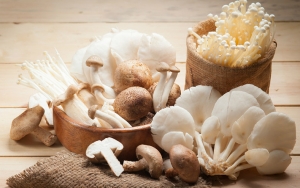 Gunakan Jamur Untuk Mengganti Daging