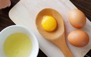 Telur Bisa Digunakan Sebagai Sumber Protein Utama