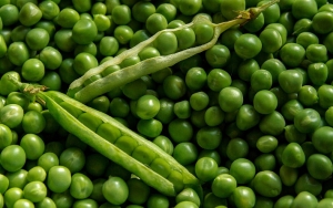  Kacang Polong Yang Kecil Ternyata Sangat Bergizi
