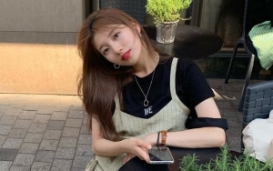 Pengadilan Putuskan Suzy Harus Bayar Kompensasi Lebih dari Rp 200 Juta Pada Once Picture