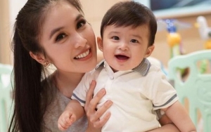  Raphael Moeis Jadi Bintang Iklan, Sandra Dewi Banjir Pujian Netter