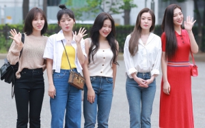 Red Velvet Bahas Dekorasi Masing-Masing, Wendy Ogah ke Kamar Joy Gara-Gara Ini