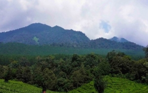 Burangrang, Wisata Anti Mainstream yang Merupakan Rangkaian Pegunungan Purba