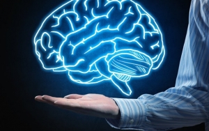 Bengkuang Sangat Bermanfaat Untuk Mencerdaskan Otak Manusia