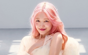 Sulli Diejek Mirip Kucing Piaraan Usai Posting Selfie 'Alis Hilang'
