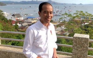 Jokowi 'Diserbu' Para Turis Bule di Taman Nasional Komodo, Warganet Ikut Bangga