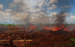 Amien Rais 'Heran' Usai MA Putuskan Jokowi Kalah Kasasi Kebakaran Hutan